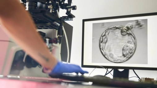 Light activated microneedle drug delivery patch shown in laboratory research